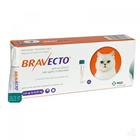 Bravecto Topical